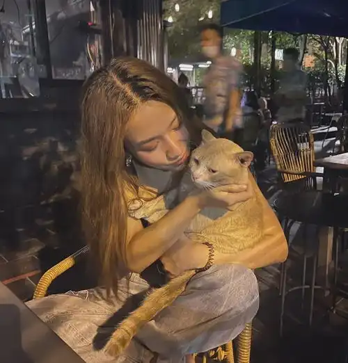 店猫被美女亲亲,它的表情好嫌弃,好嫌弃
