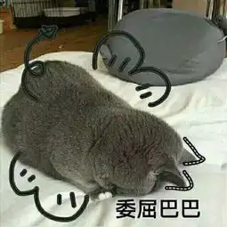 不开森
