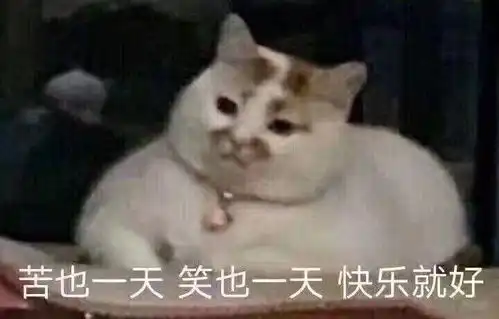 有哪些堪称有毒的表情包
