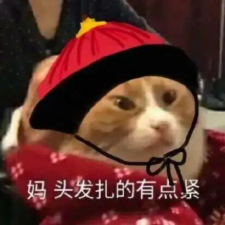 精选沙雕表情包来评论聊天啦

