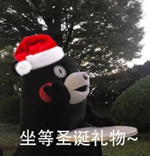 节日为你打包一个完美圣诞
