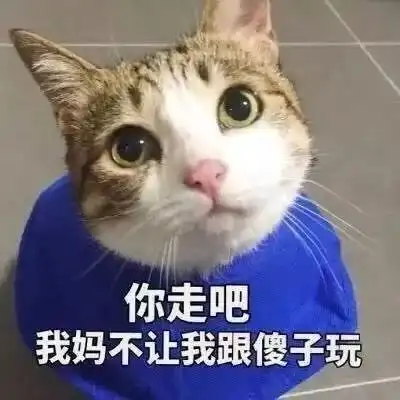 假如宝宝也有朋友圈,笑cry了哈哈哈哈哈哈哈哈哈哈哈哈哈哈...
