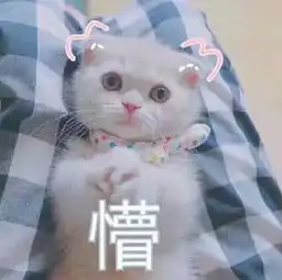 太欢乐网友们被强撩的沙雕聊天记录,看完后笑到没力气撩螺
