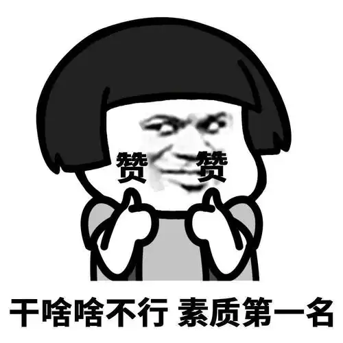 表情包大全干啥啥不行表情包
