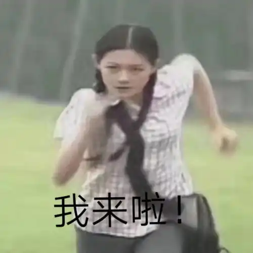 中华田园犬真的比洋犬土不一定
