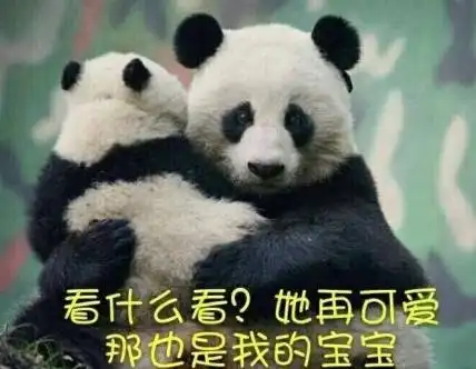 分享一组熊猫宝宝的看图说话,哈哈哈萌炸了
