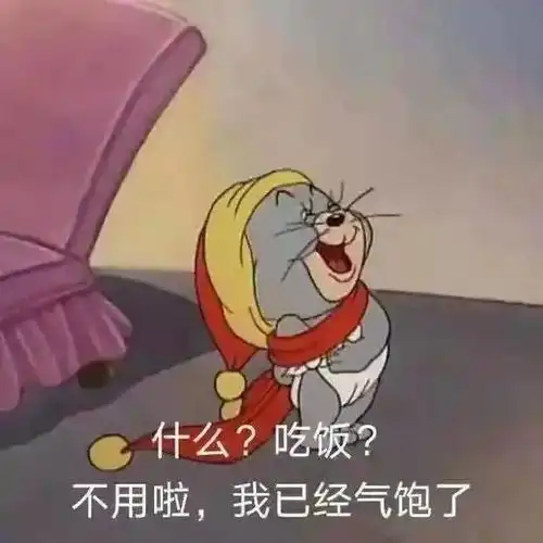 今日份沙雕表情包不用吃饭了,我已经气饱了
