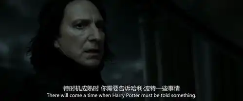 哈利波特中最令人讨厌的角色,为何也最让人感动
