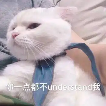 喵星人我觉得你这个狗东西在骗我
