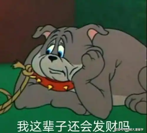 英国hpi签证人才引进新工签,比psw更香