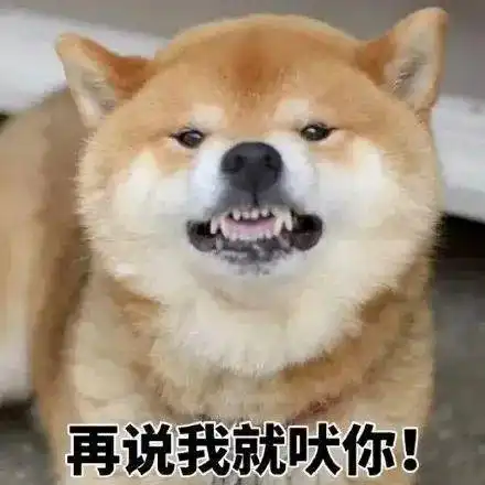 狗头人表情包动图柴犬