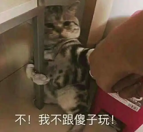 傻子表情包大全我妈不让我跟傻子玩楼上是傻子你怕是个傻子
