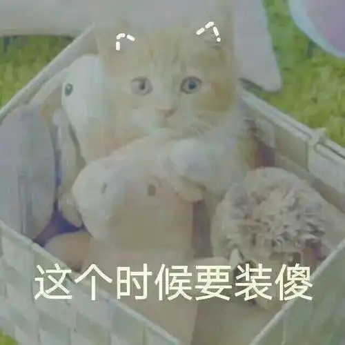 近期超火套路表情包,快拿去跟朋友皮一下
