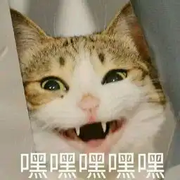这把霰弹枪怎么有点不一样