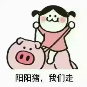 开心一刻一只皮皮虾引发的一场生物大战
