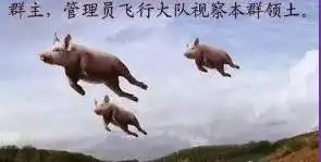 今天是群主节,有群就发哈,让各位群主笑一下

