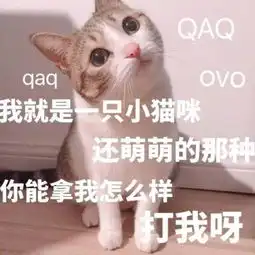 猫咪表情包你能拿我怎么样打我啊

