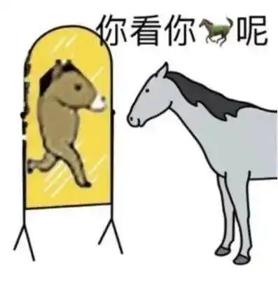 表情包心水

