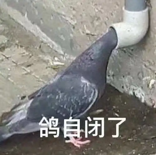 雅思阅读总是5.5怎么办
