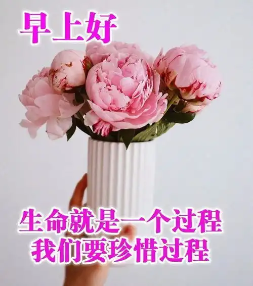 八月周日早上好表情祝福语最新版让你悟透人生精辟早安句子

