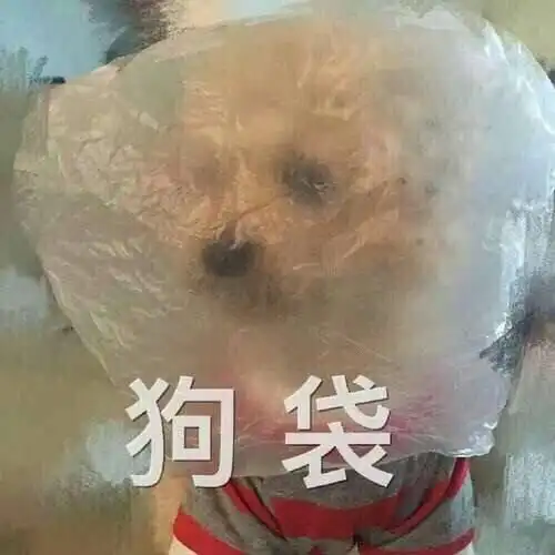 适合朋友圈发的酷酷文案
