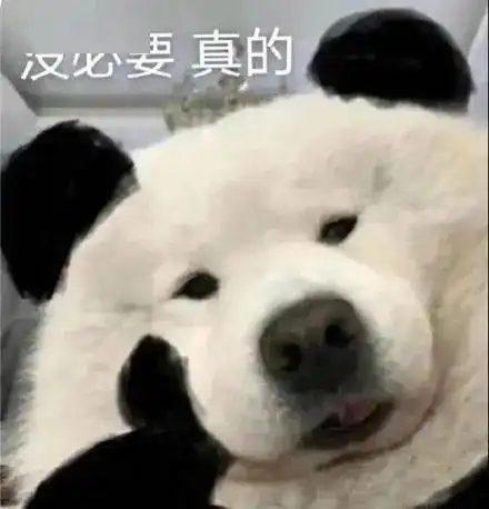 一拍就炸微信又上线新功能
