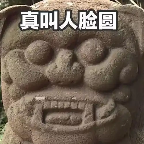 湛江也有兵马俑它们的表情包你收藏了没
