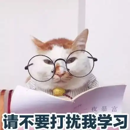 如何避免猫咪出轨这套铲屎官和猫的感情保温计划火了