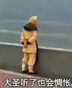 空乘
