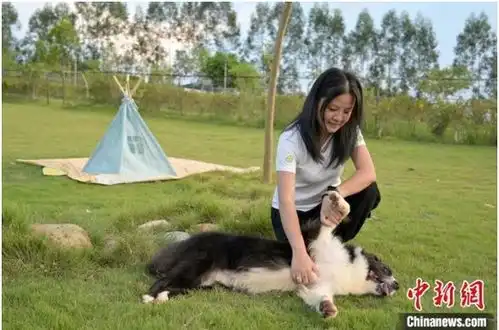 中秋市场它经济南宁的萌宠也拥有专属月饼了
