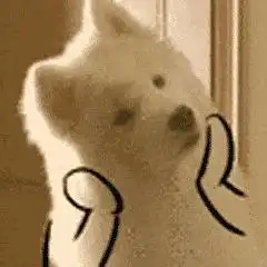 关于泡泡翻译
