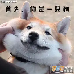 真叫狗头大搞笑表情包只做你的舔狗柴犬表情包下载乐游网游戏下载
