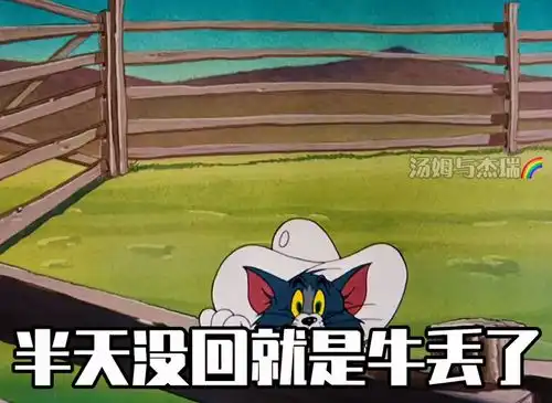 没回信息就是在放牛猫和老鼠表情包情侣日常
