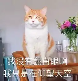 5岁小朋友的简历文案,火了

