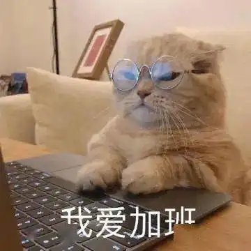 快来看我两米的大长腿丨第118期喵表情
