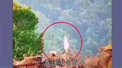 印军哨所不堪巴方打击举白旗投降