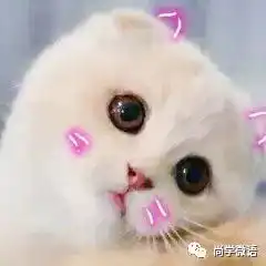 这是一种属于中国大学生的神奇生物
