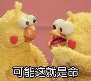 暴晒今天全省最高气温均冲破33
