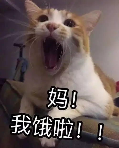 美食这14张图怎么看起来那么像吃的,现在什么都能放毒了