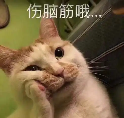 她们才是内娱最早的百合cp吧,如今台前相逢不相识
