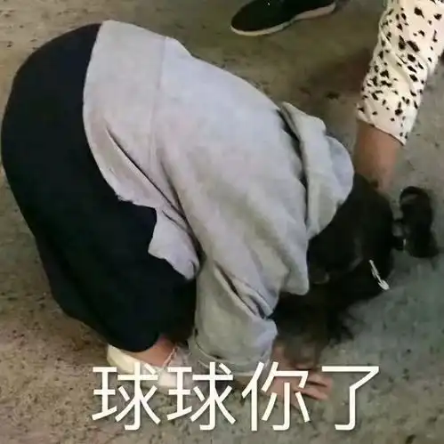 斗图小表情8.1
