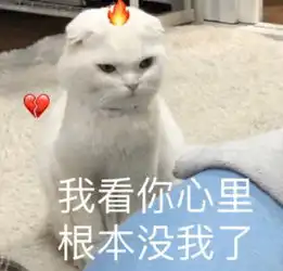 喵星人表情包一起来吸猫
