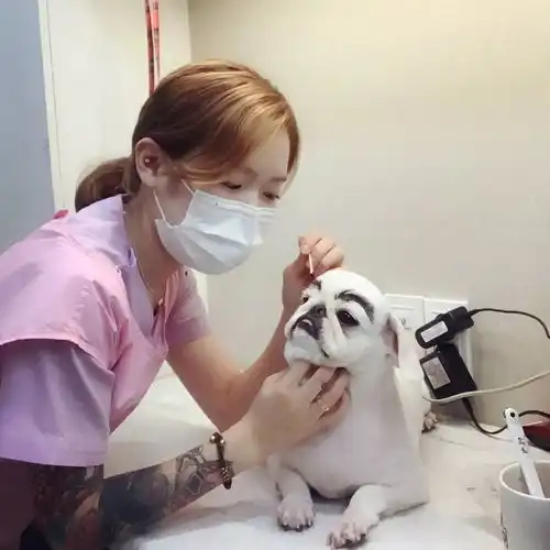 健身超努力但美食啤酒就是忍不住,这位小姐姐你也太佛系了吧
