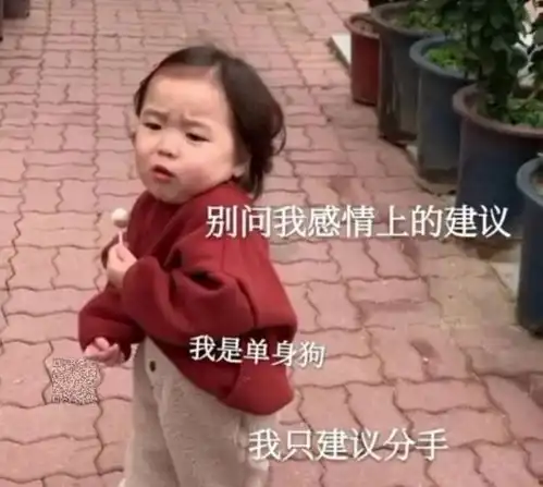 表情包十八丨别问我感情上的建议,我是单身狗,我只建议分手

