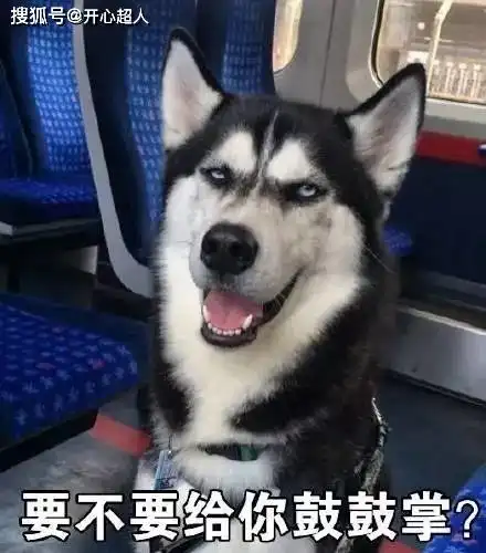开心一笑今天女儿问我一个脑筋急转弯,差点被这小兔在耍了....
