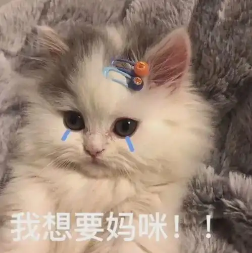 想知道这个星座为何没有免疫恋爱脑
