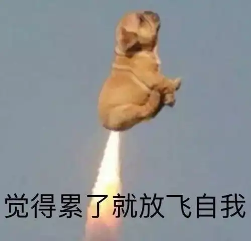 笨笨鹅表情包怪不好意思的
