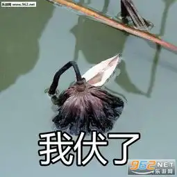 荷花的一生图片荷花的一生表情包下载乐游网游戏下载
