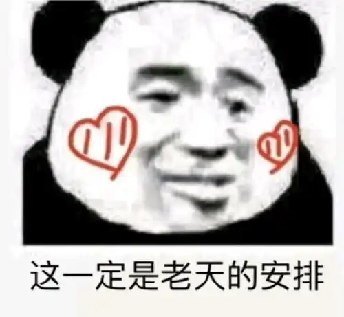 熊猫头表情包8
