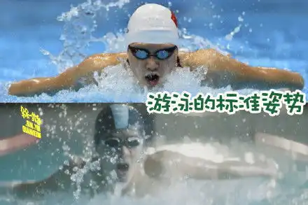 宇宙流星雨骑士到此一游她没来过这是公主写的涂鸦表情包
